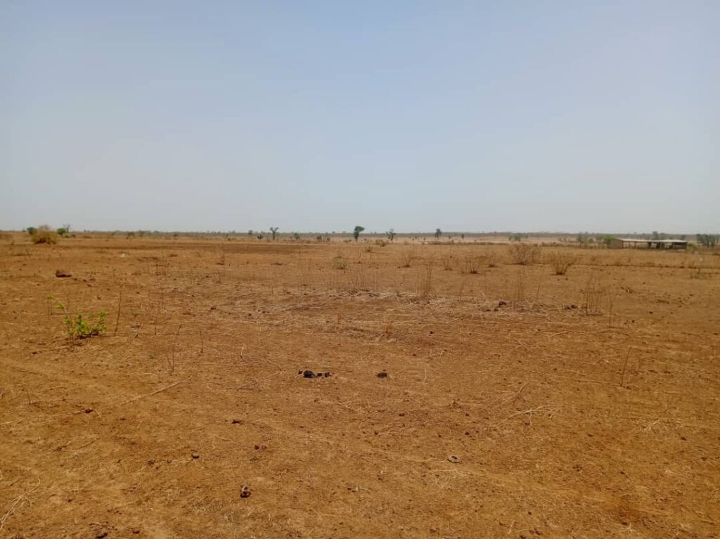 Terrain Agricole de 1,31 Hectare vers Tassette – Thiès