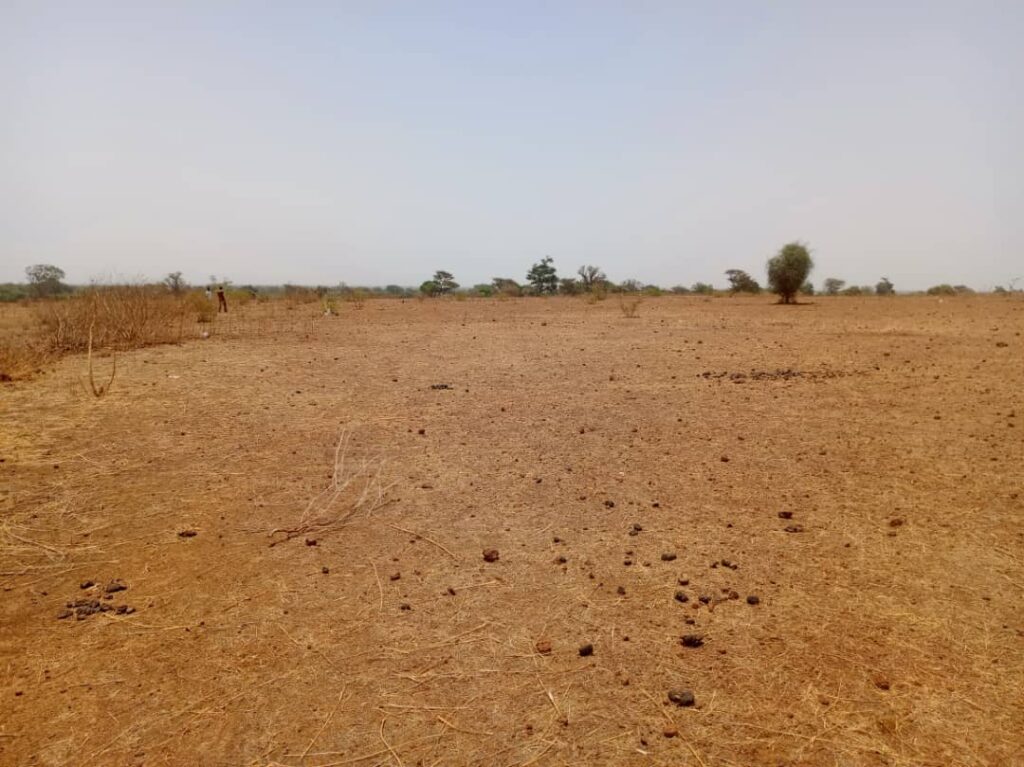 Terrain Agricole de 1,31 Hectare vers Tassette – Thiès