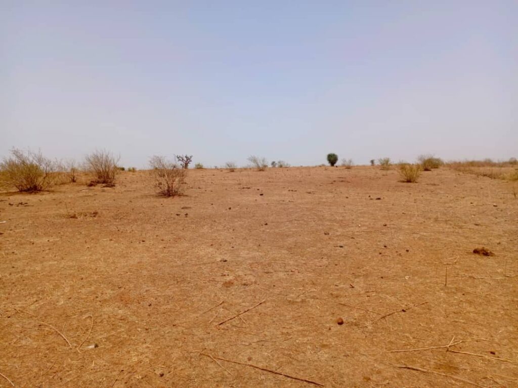 Terrain Agricole de 1,31 Hectare vers Tassette – Thiès