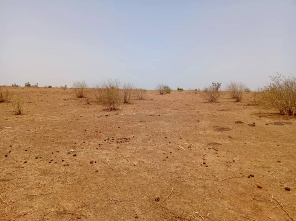 Terrain Agricole de 1,31 Hectare vers Tassette – Thiès