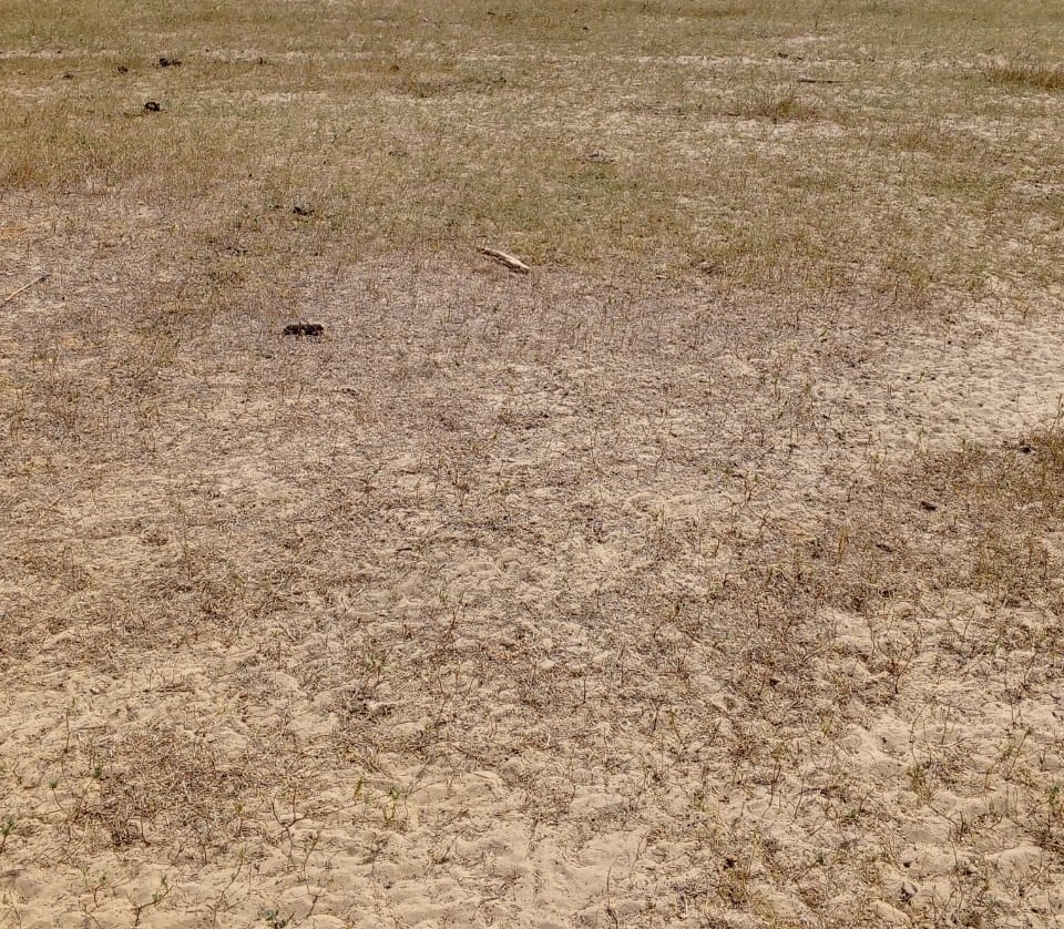 Terrain Agricole de 1,60 Hectare vers Tataguine – Fatick