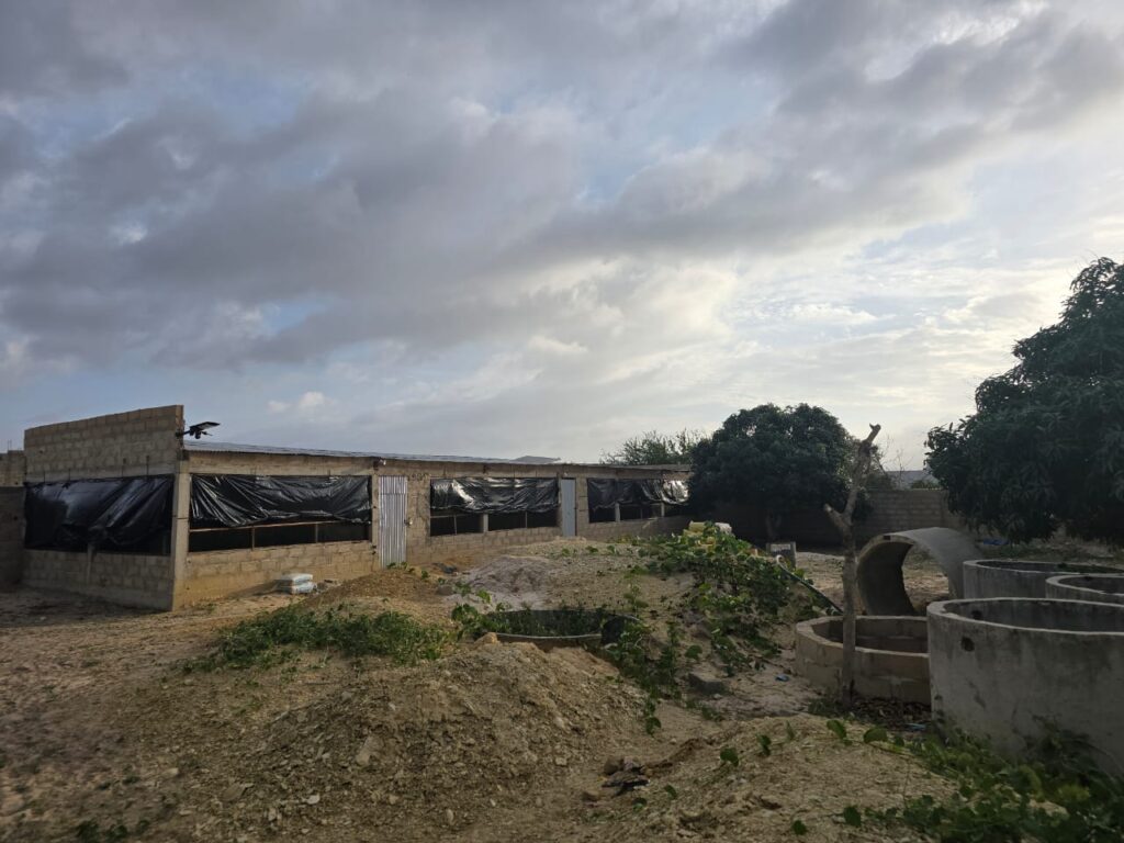 Poulaillers en Location dans un Ferme de 6.500 m² vers Bambilor – Rufisque