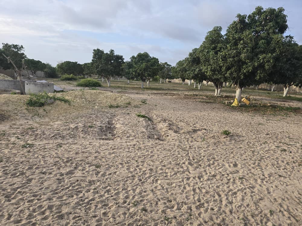 Poulaillers en Location dans un Ferme de 6.500 m² vers Bambilor – Rufisque