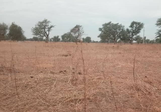 Terrain Agricole de 38 Hectares vers Dalla Ngabou – Diourbel