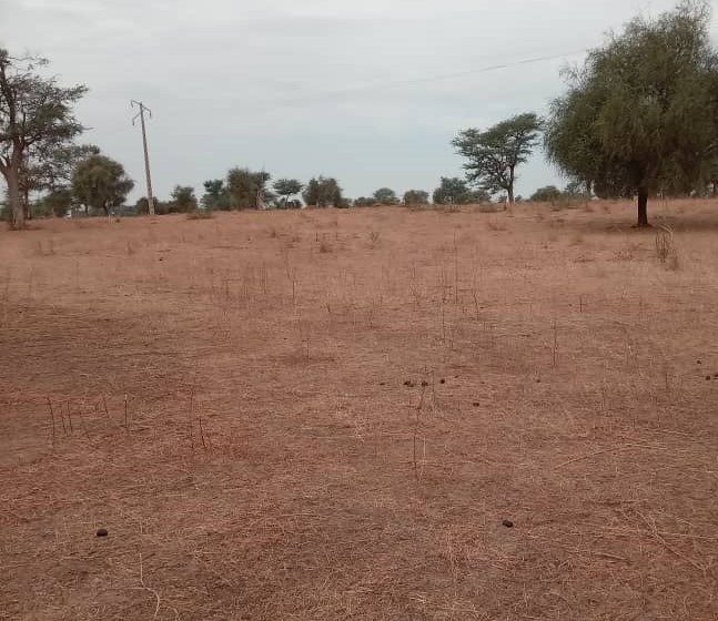 Terrain Agricole de 38 Hectares vers Dalla Ngabou – Diourbel