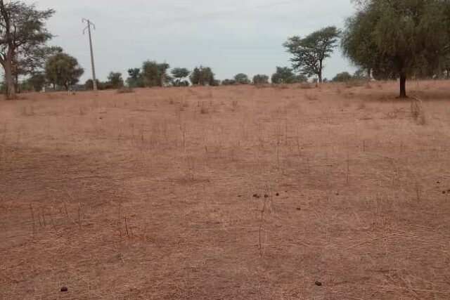 Terrain Agricole de 38 Hectares vers Dalla Ngabou – Diourbel