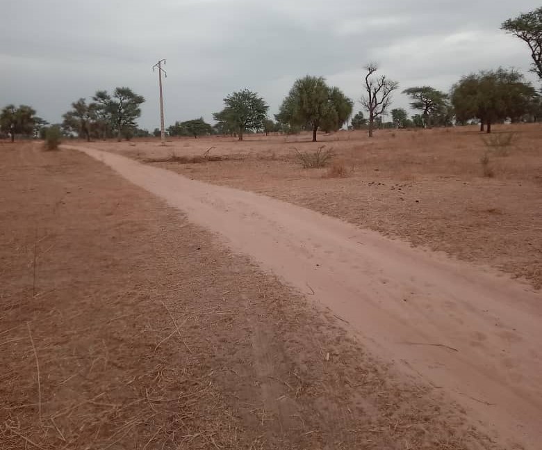 Terrain Agricole de 38 Hectares vers Dalla Ngabou – Diourbel