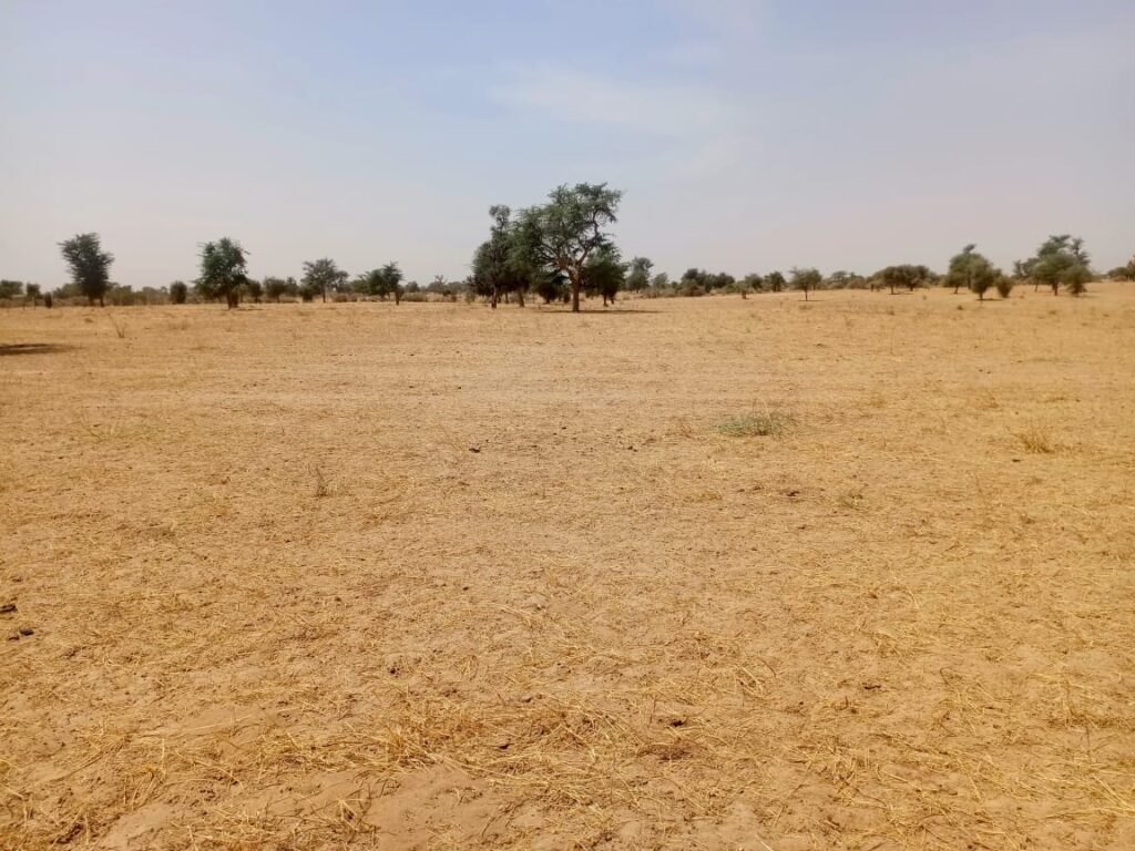 Haute Productivité : Vaste terrain agricole de 11,65 Hectares vers Dalla Ngabou