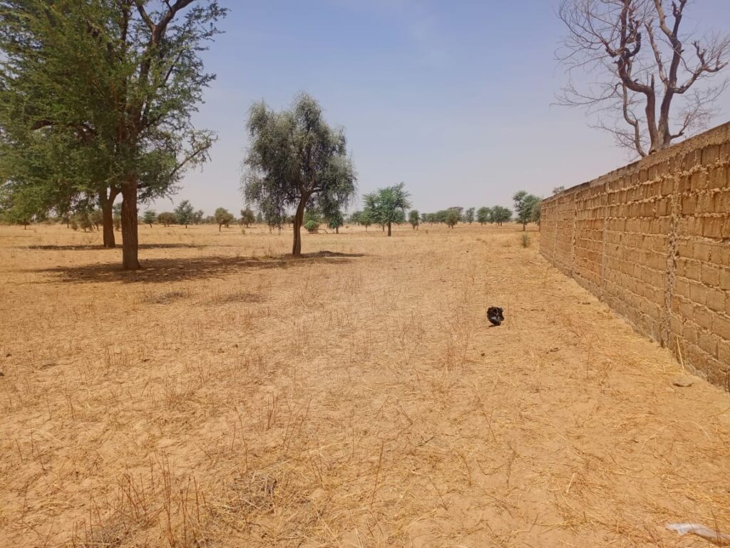 Haute Productivité : Vaste terrain agricole de 11,65 Hectares vers Dalla Ngabou