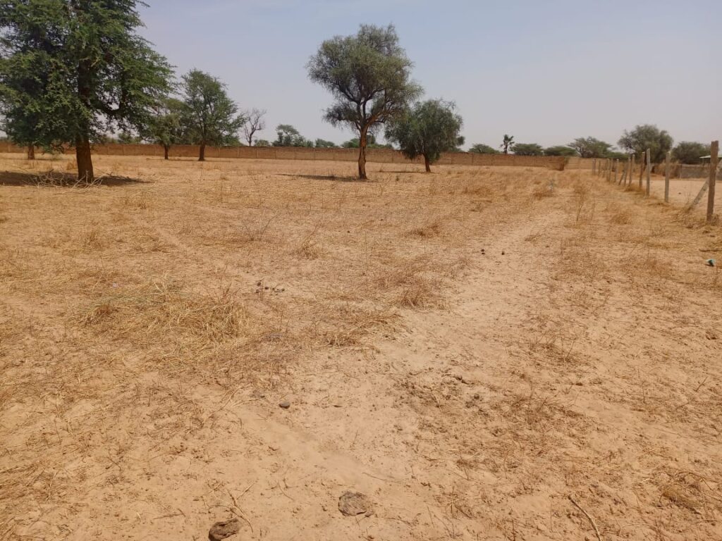 Haute Productivité : Vaste terrain agricole de 11,65 Hectares vers Dalla Ngabou