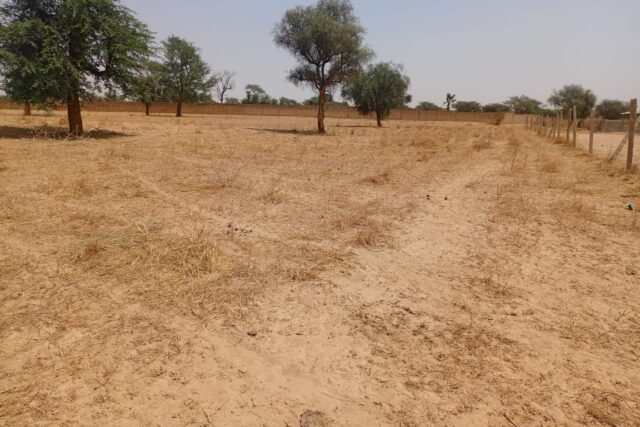 Haute Productivité : Vaste terrain agricole de 11,65 Hectares vers Dalla Ngabou