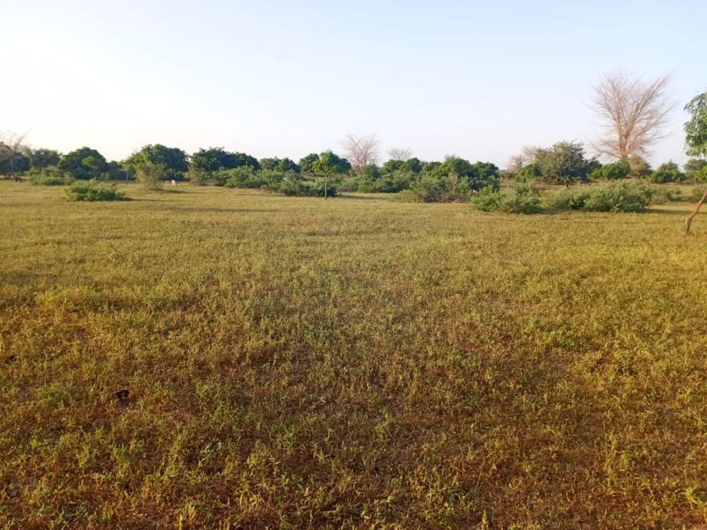 Terrain Agricole de 17 Hectares vers Tassette – Thiès