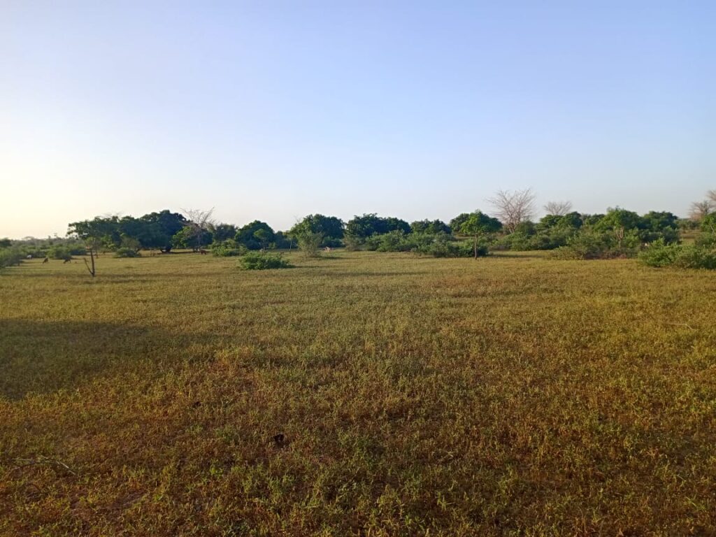 Terrain Agricole de 17 Hectares vers Tassette – Thiès