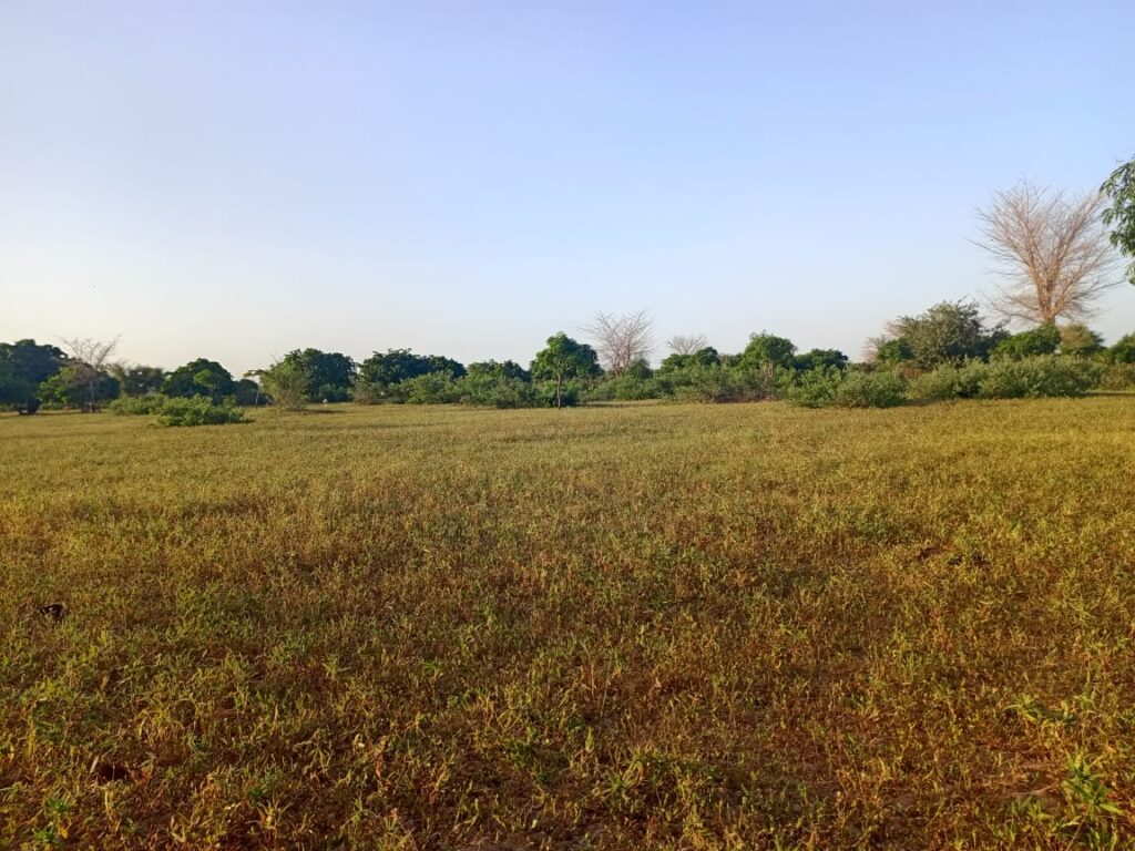 Terrain Agricole de 17 Hectares vers Tassette – Thiès