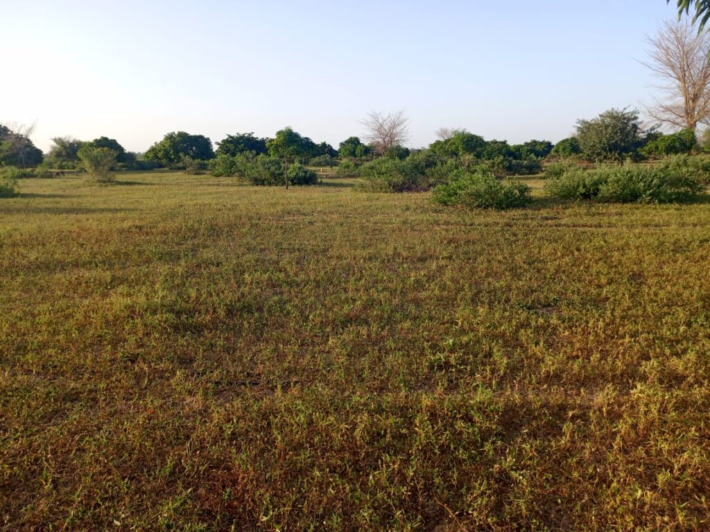 Terrain Agricole de 17 Hectares vers Tassette – Thiès