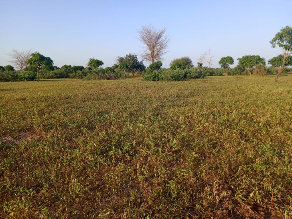 Terrain Agricole de 17 Hectares vers Tassette – Thiès