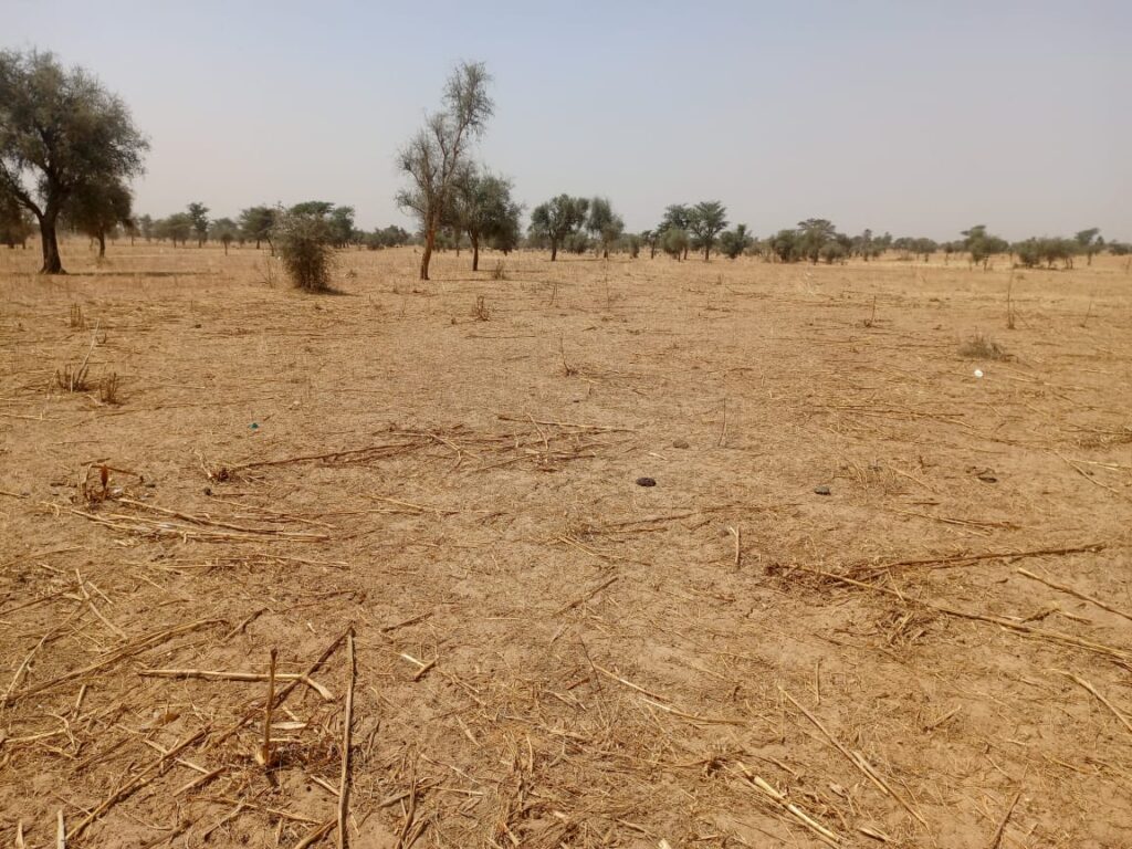 Terrain Agricole de 9,29 Hectares vers Dalla Ngabou – Diourbel