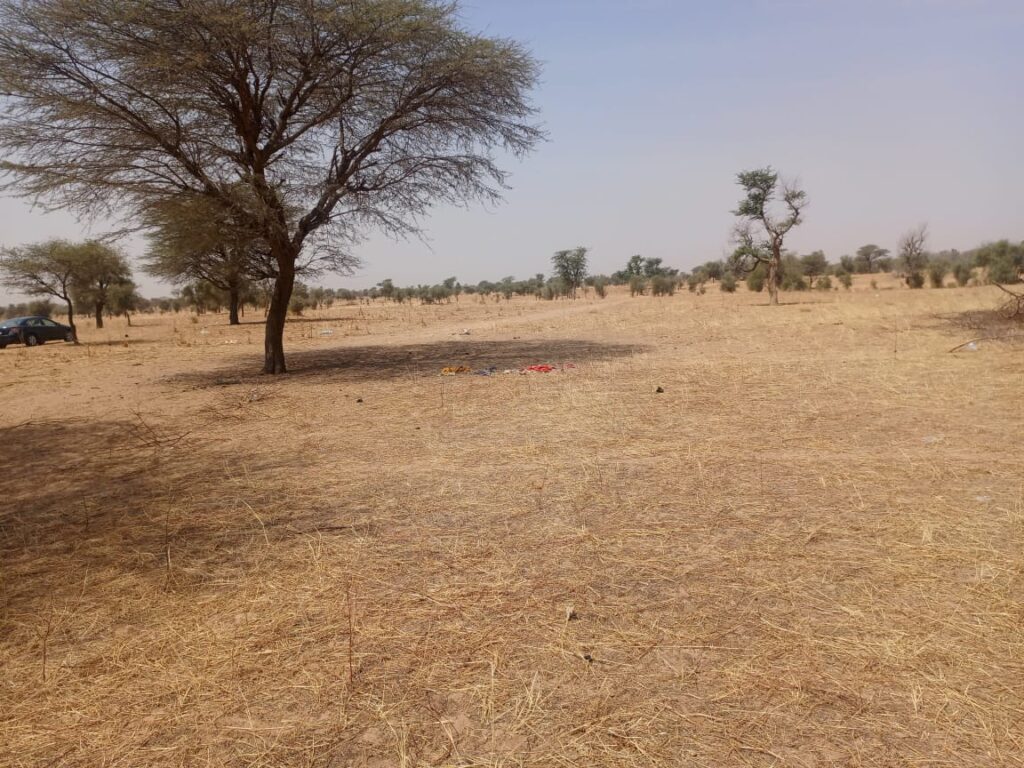 Terrain Agricole de 9,29 Hectares vers Dalla Ngabou – Diourbel