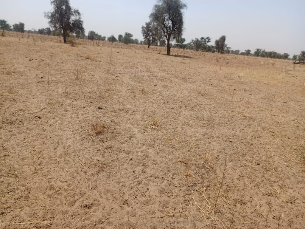 Terrain Agricole de 9,29 Hectares vers Dalla Ngabou – Diourbel