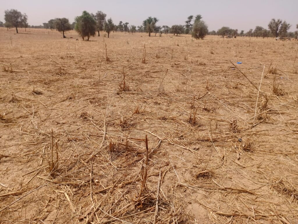 Terrain Agricole de 9,29 Hectares vers Dalla Ngabou – Diourbel