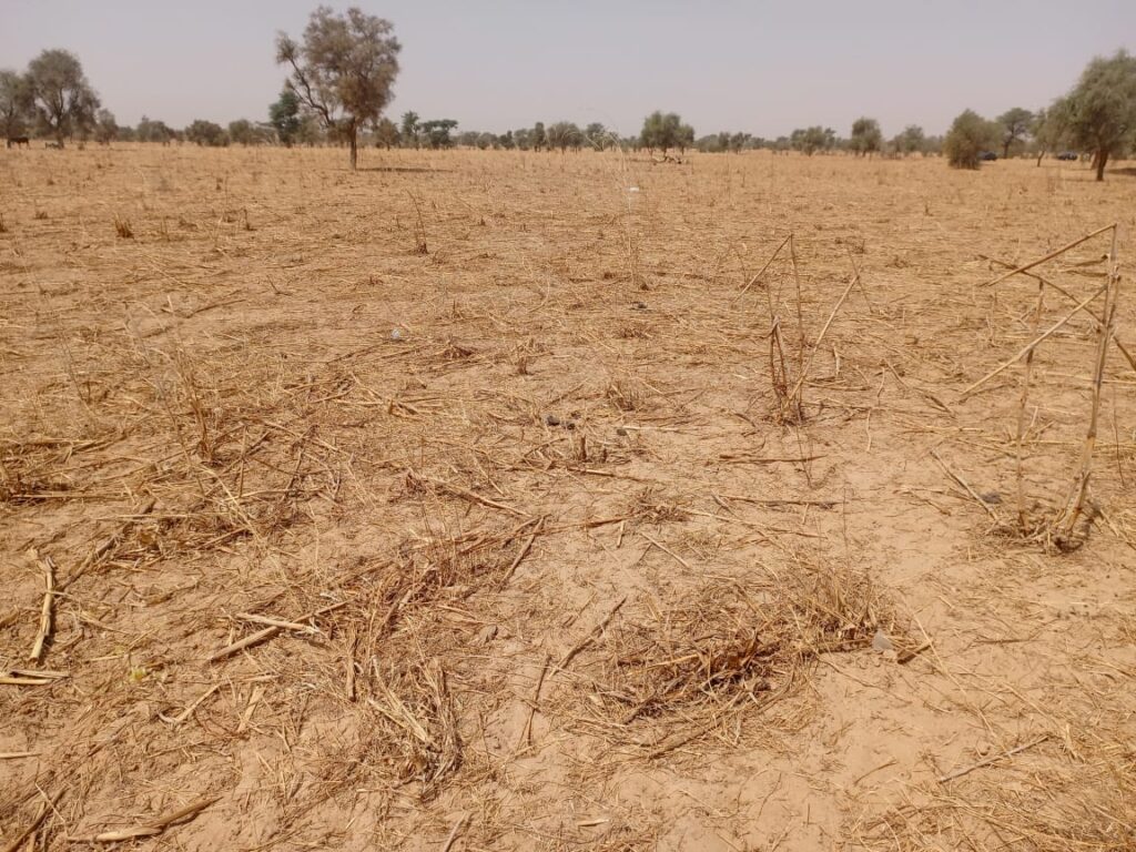 Terrain Agricole de 9,29 Hectares vers Dalla Ngabou – Diourbel