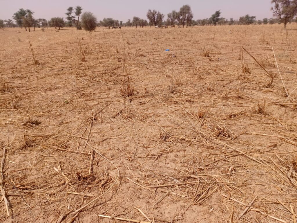 Terrain Agricole de 9,29 Hectares vers Dalla Ngabou – Diourbel