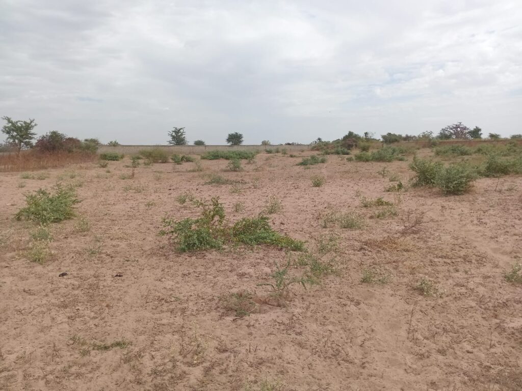 Terrain Agricole de 1,50 Hectare vers Sindia – Mbour