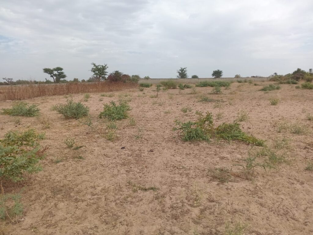 Terrain Agricole de 1,50 Hectare vers Sindia – Mbour