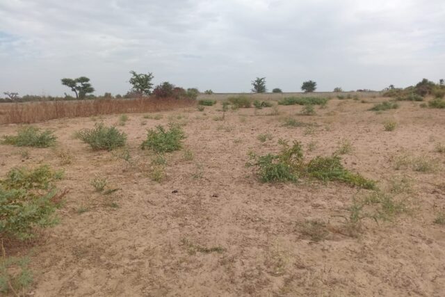 Terrain Agricole de 1,50 Hectare vers Sindia – Mbour