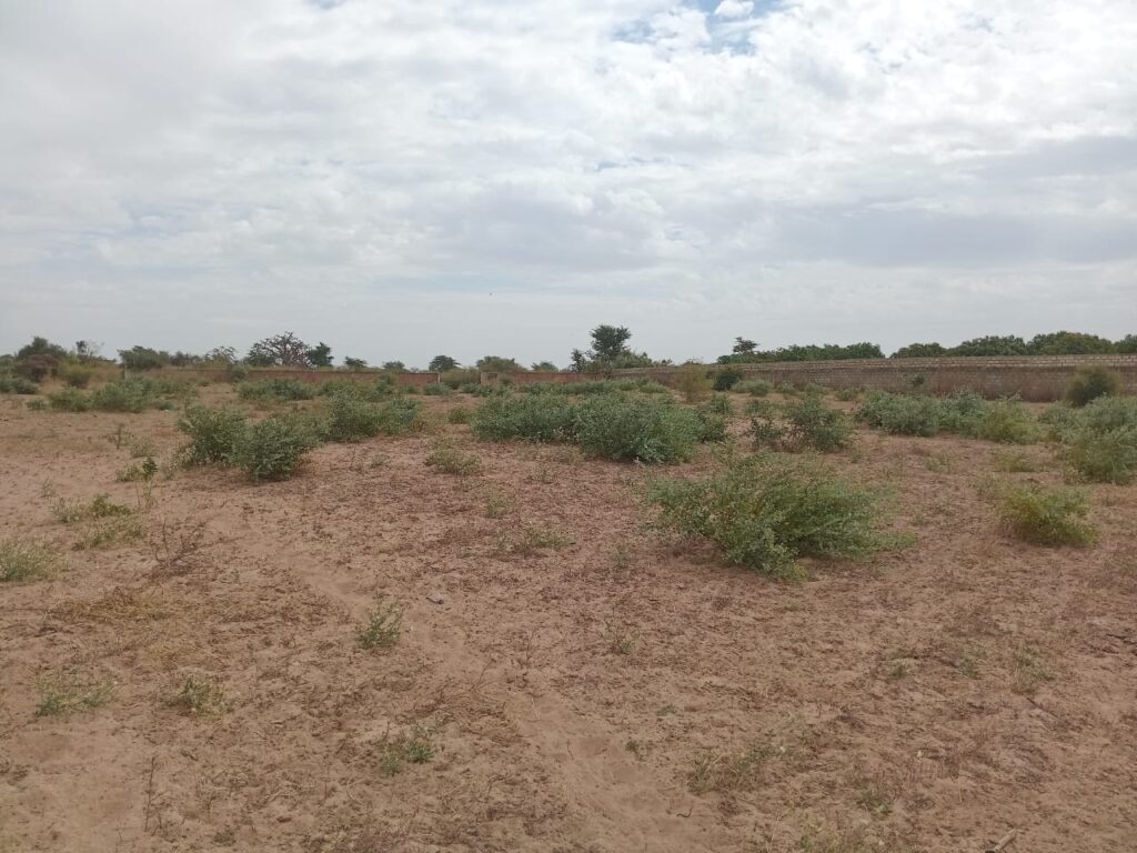 Terrain Agricole de 1,50 Hectare vers Sindia – Mbour