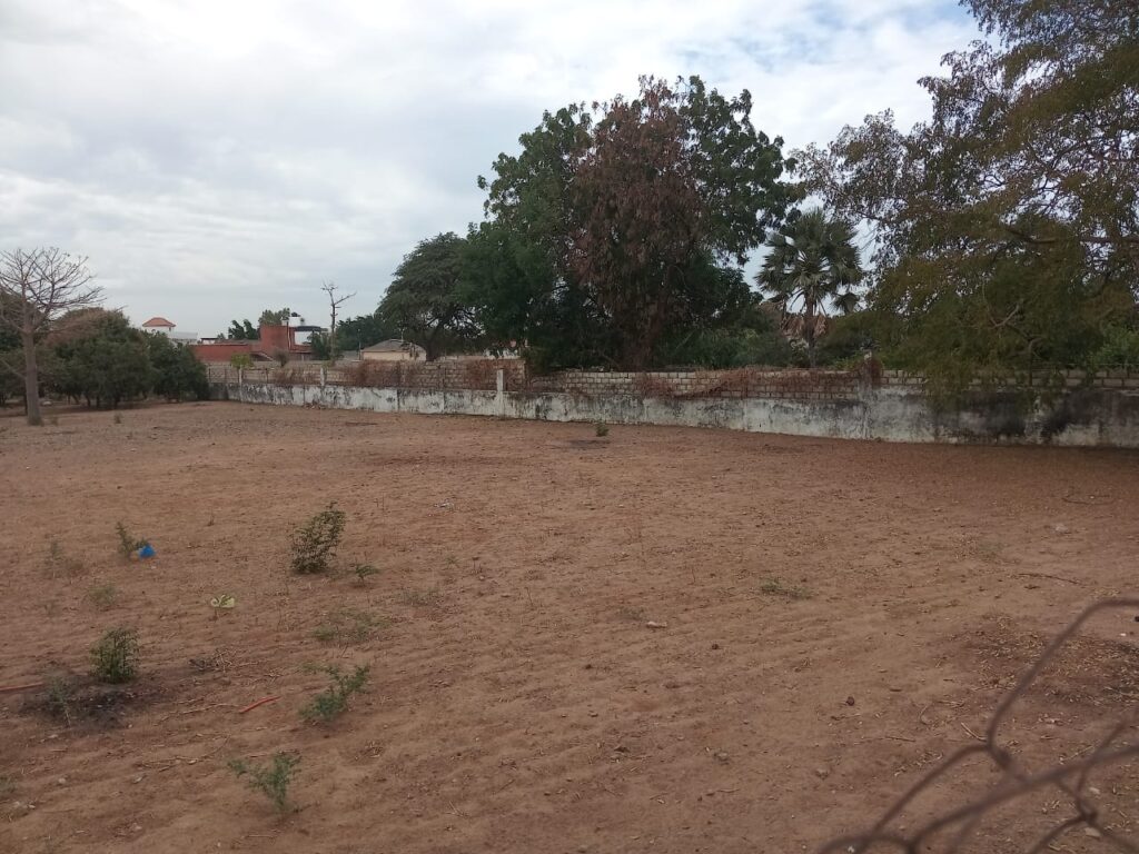 Terrain de 1 hectare prêt pour projet de morcellement vers Sindia