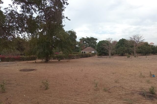 Terrain de 1 hectare prêt pour projet de morcellement vers Sindia