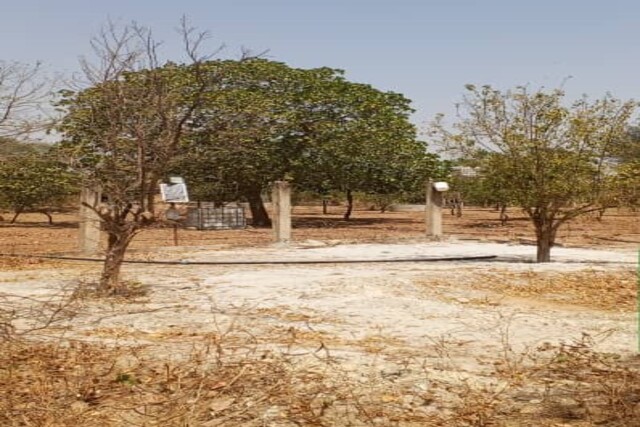 Verger de 1,20 hectare vers Fandéne – Thiès