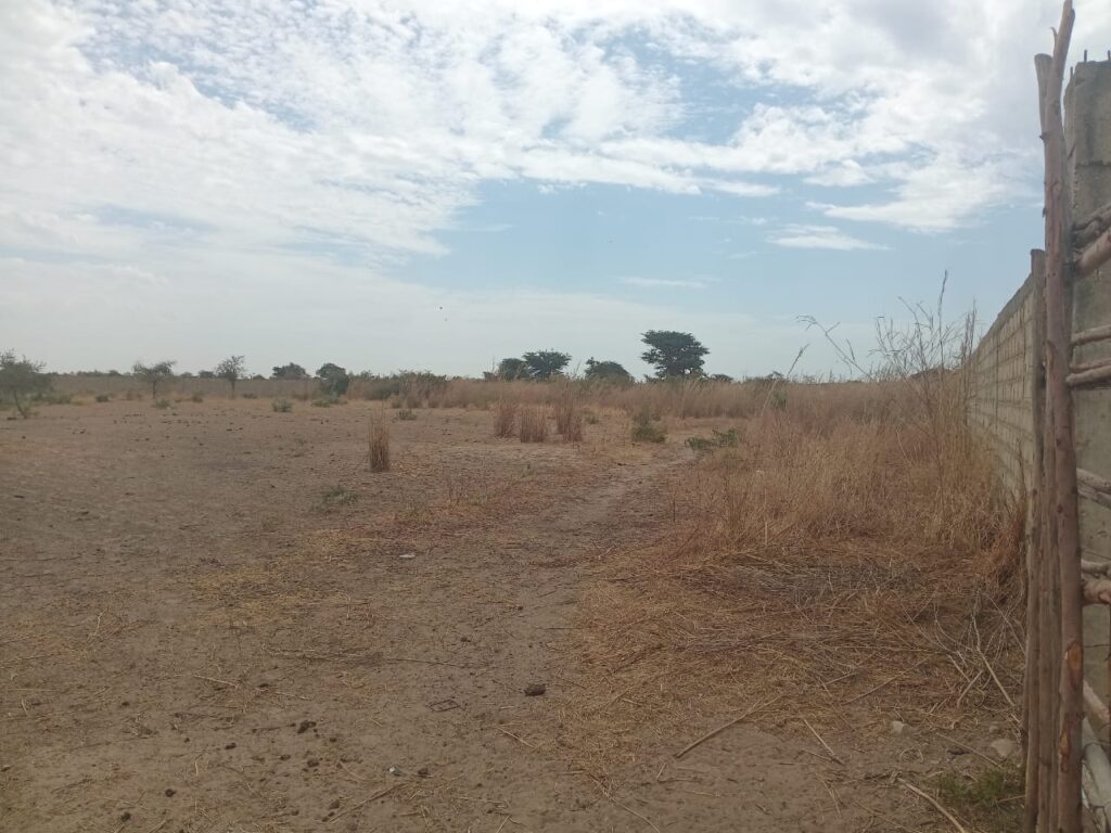 Nguékhokh : 2,50 Hectares Stratégiques pour un Projet de Morcellement