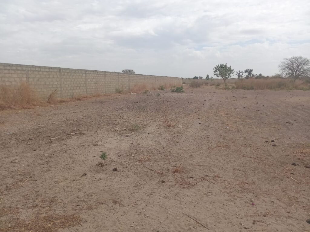 Nguékhokh : 2,50 Hectares Stratégiques pour un Projet de Morcellement