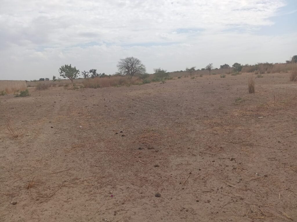 Nguékhokh : 2,50 Hectares Stratégiques pour un Projet de Morcellement