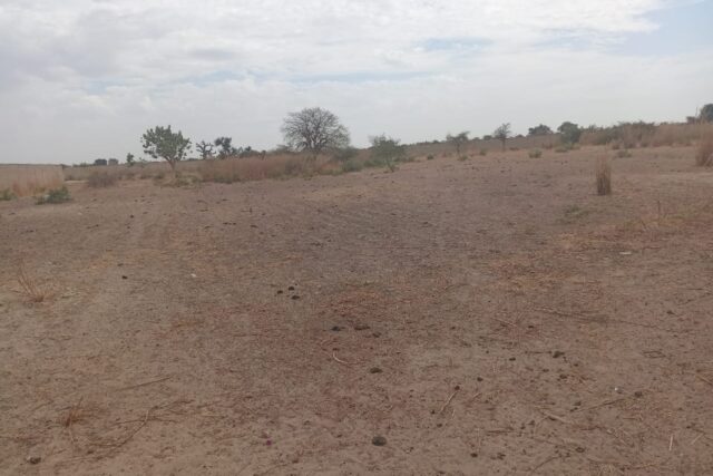 Nguékhokh : 2,50 Hectares Stratégiques pour un Projet de Morcellement