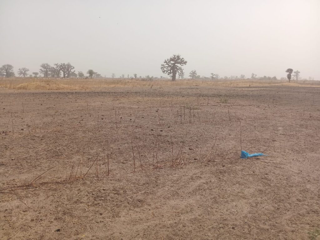 Terrain Industriel de 2 hectares vers Sindia – Mbour