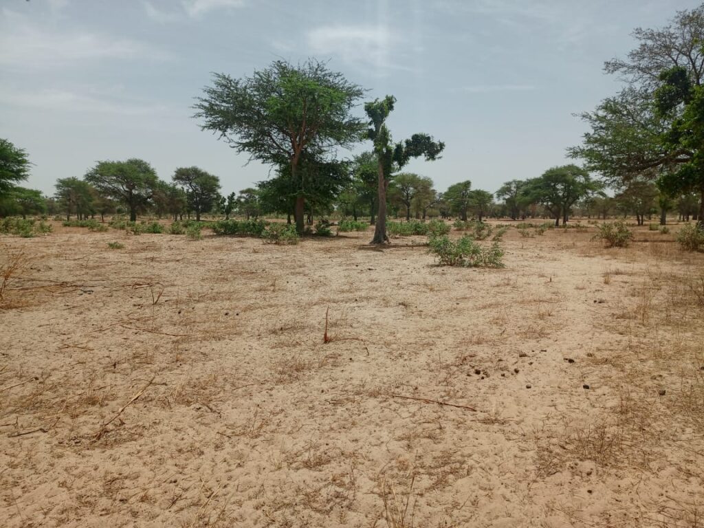 Terrain Agricole de 4,14 Hectares vers Thiénaba – Thiès
