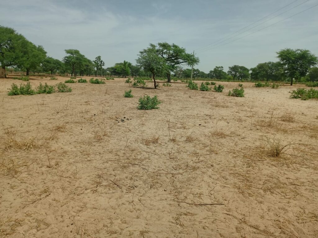 Terrain Agricole de 4,14 Hectares vers Thiénaba – Thiès