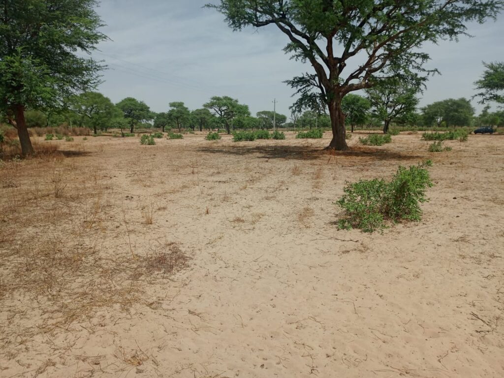 Terrain Agricole de 4,14 Hectares vers Thiénaba – Thiès