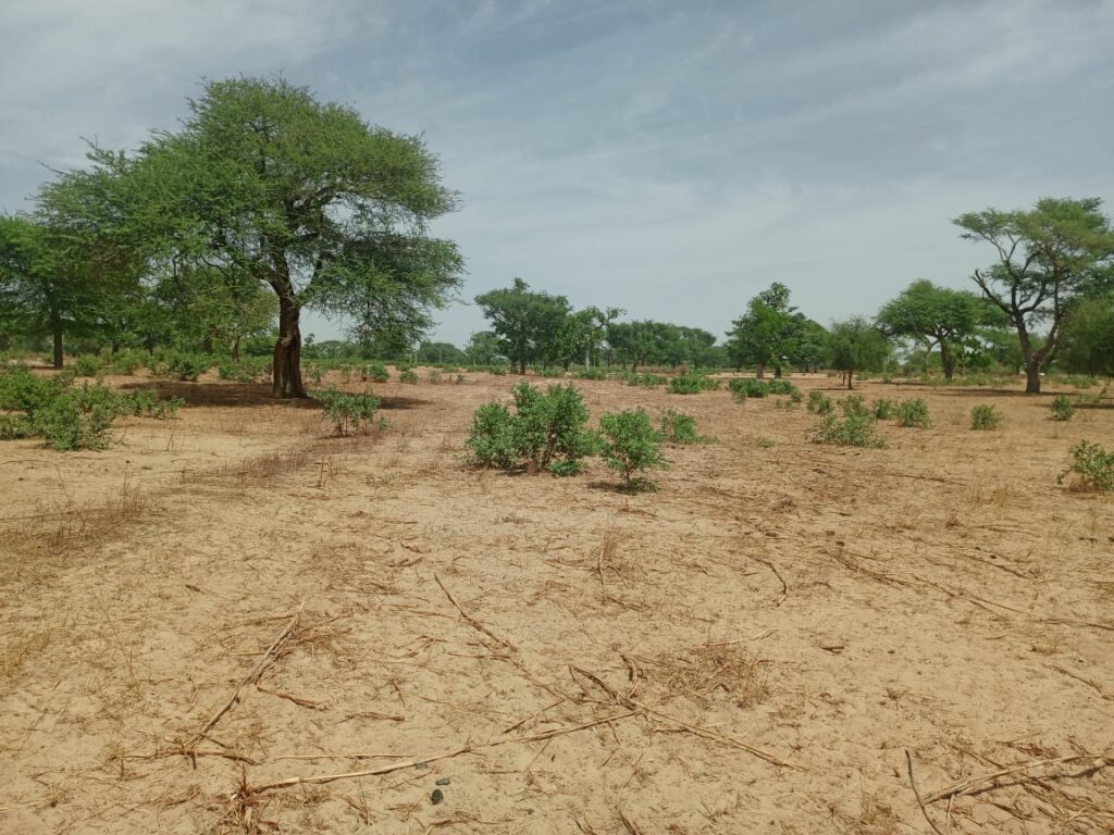 Terrain Agricole de 4,14 Hectares vers Thiénaba – Thiès
