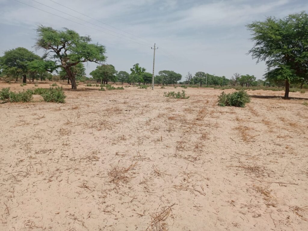 Terrain Agricole de 4,14 Hectares vers Thiénaba – Thiès