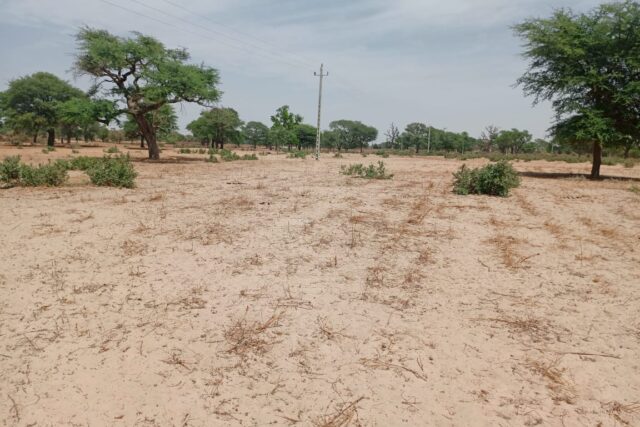Terrain Agricole de 4,14 Hectares vers Thiénaba – Thiès