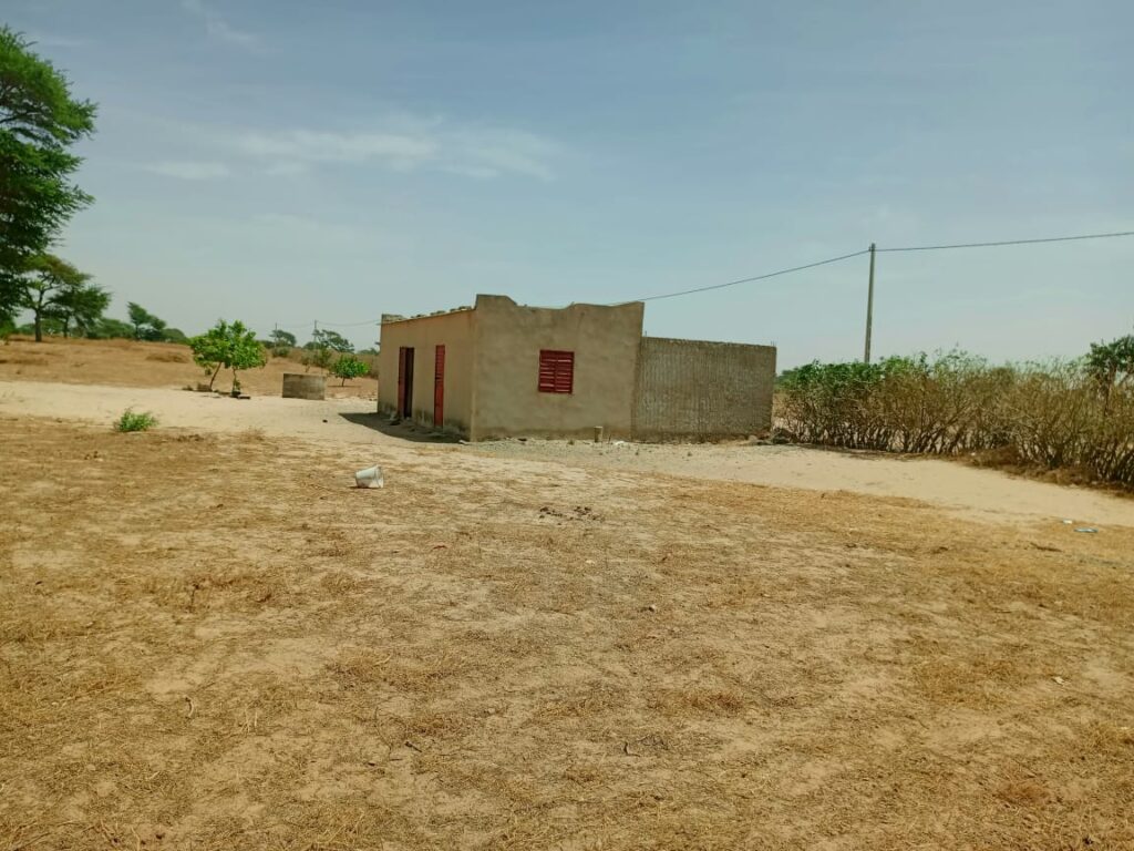 Lancez votre Investissement d’envergure : 9,59 Hectares stratégiques vers Notto Diobass – Thiès