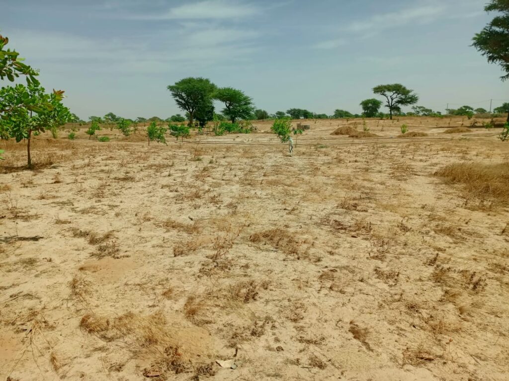 Lancez votre Investissement d’envergure : 9,59 Hectares stratégiques vers Notto Diobass – Thiès