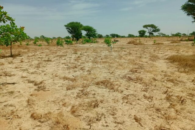 Lancez votre Investissement d’envergure : 9,59 Hectares stratégiques vers Notto Diobass – Thiès