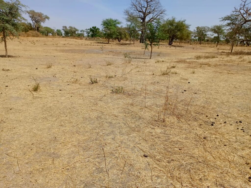 Terrain Agricole de 2,33 hectares vers Notto Diobass – Thiès