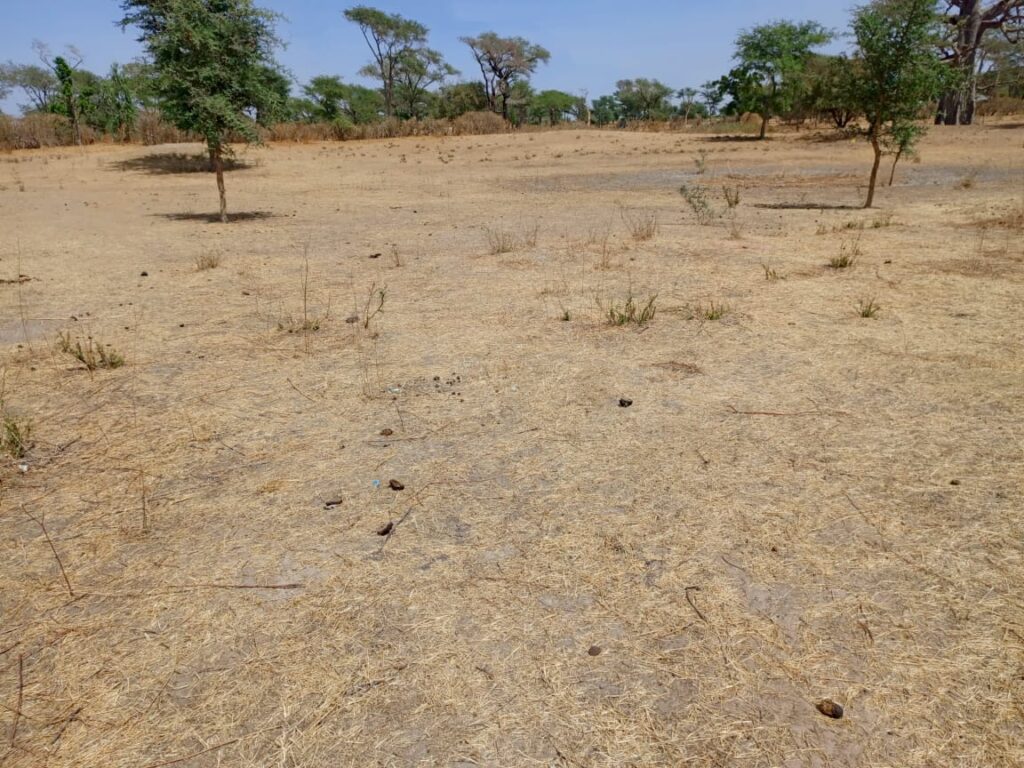 Terrain Agricole de 2,33 hectares vers Notto Diobass – Thiès