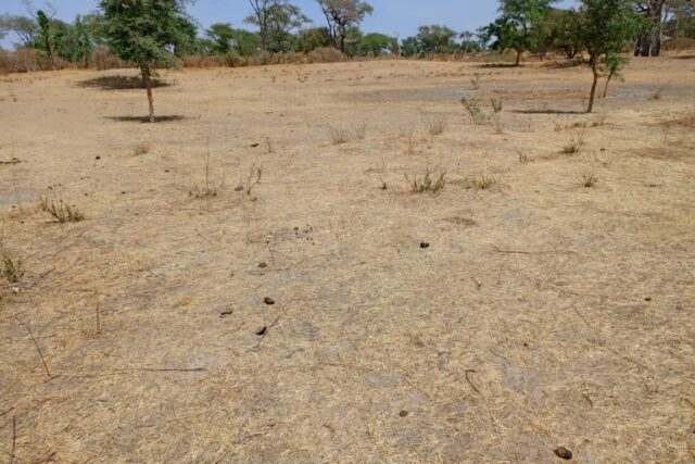 Terrain Agricole de 2,33 hectares vers Notto Diobass – Thiès
